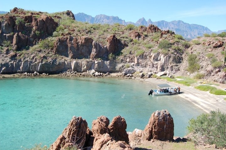 A photorealistic image of a group of hikers walking through a narrow canyon in the Baja desert. The canyon walls are towering and made of colorful sandstone. The lighting is dappled, creating a sense of mystery and adventure. The camera angle is wide, capturing the scale of the canyon. Style: adventure photography. 4K resolution.