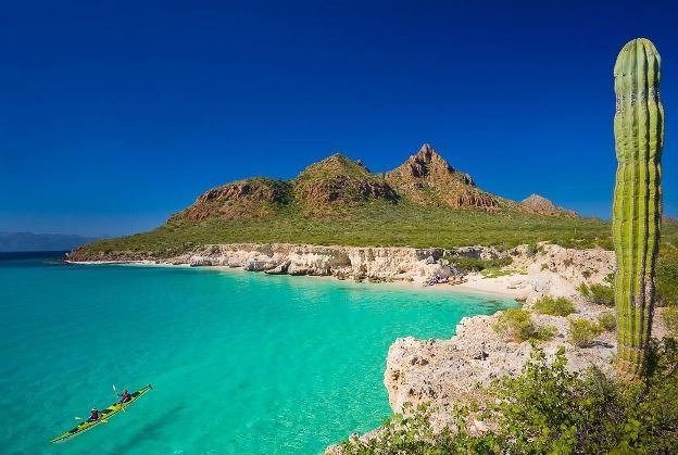 An underwater photorealistic image of a snorkeler swimming among a school of colorful fish in the Sea of Cortez. The water is crystal clear and the sunlight is filtering through the surface. The camera angle is low, emphasizing the diversity of marine life. Style: underwater photography. 4K resolution.